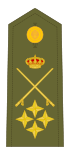 Capitán general