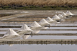 Marais salants sur l'île de Ré.