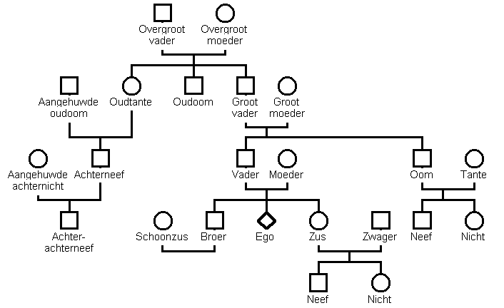 Kinship-diagram voor een ongehuwde persoon