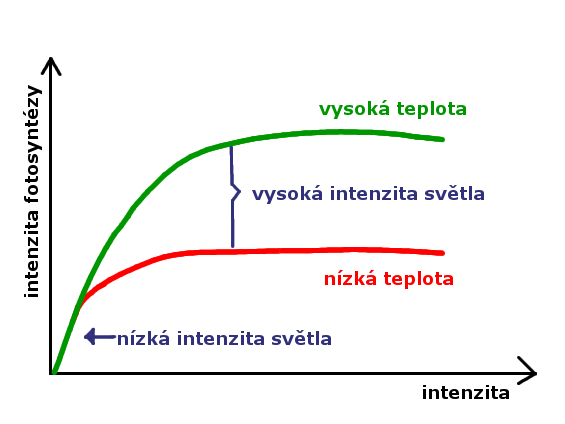 File:Photosynthesis - temperature and light graph (cs).png