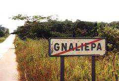 Gnaliépa