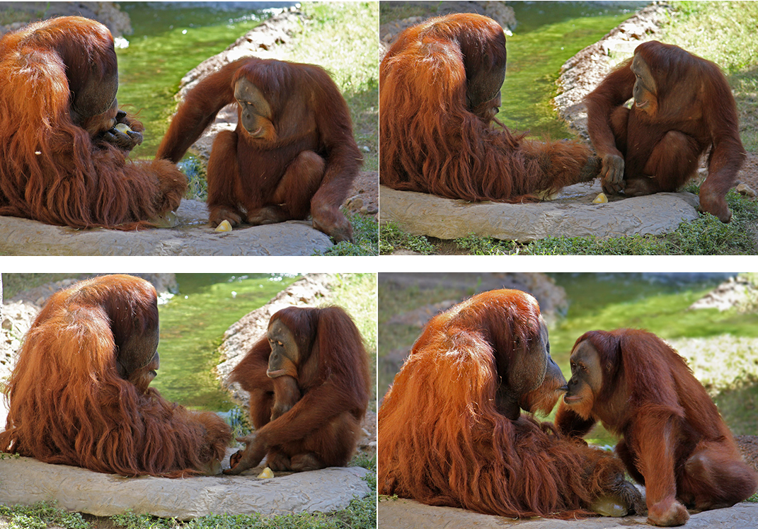 This sequence of images shows how a little kindness goes a long way.