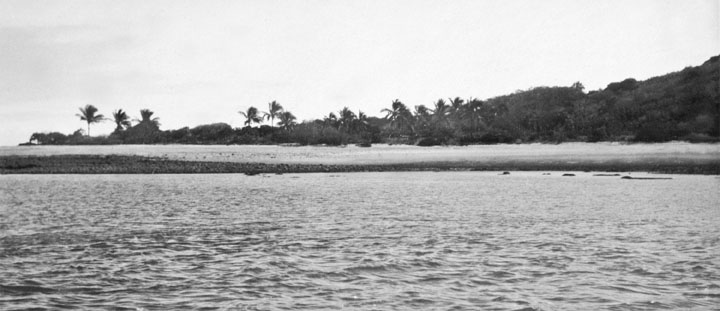 File:Queensland State Archives 950 View of Brampton Island c 1931.png