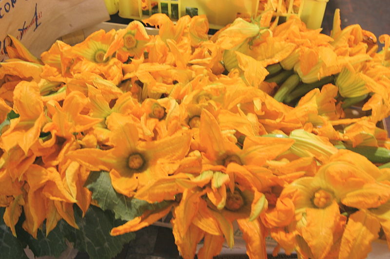 File:Flowers of zucchini in Ventimiglia.jpg