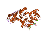 2hyv: Human Annexin A2 with heparin hexasaccharide bound