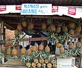 warung nanas