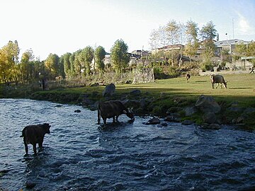 Getik river in Ttujur