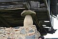 Stone pillar (pegollu) standing on a footing stone (pilpayu) and capped with a staddle stone (muela).