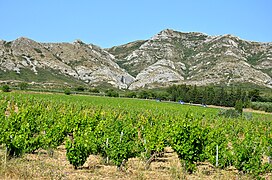 Vignoble près des Baux-de-Provence