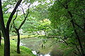 Taman di Kinkaku-ji