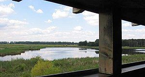 Ausblick vom Vogelbeobachtungsturm auf neue Seen