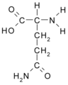 Glutamin (Gln / Q)