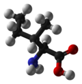 Chemical structure of Isoleucine