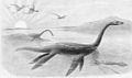 Plesiosaurus