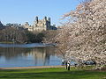 The Lake, Central Park (West)