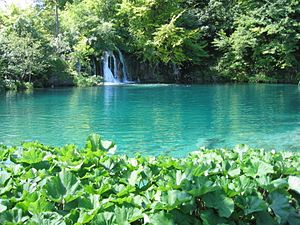 De meren van Plitvice