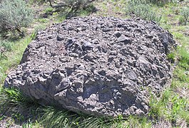 Volcanic breccia in Jackson Hole.JPG