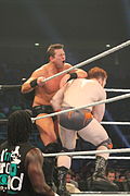 WWE Smackdown IMG 8983 (15353508641).jpg