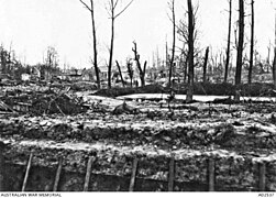 Ruines du village en 1918