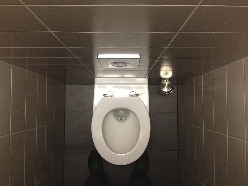 File:Toilet (11292299905).jpg