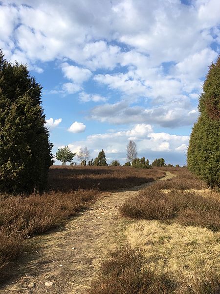 File:Image Naturpark Südheide.jpg