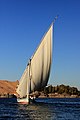 * Nomination Boat on the Nile near Aswan --Martin Falbisoner 19:51, 23 January 2013 (UTC) * Promotion Good quality. --MB-one 20:53, 23 January 2013 (UTC)