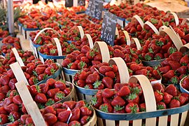 Fraise de Carpentras