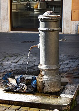 Grigi di Roma: i Sanpietrini, la tipica fontanella nasone e i piccioni