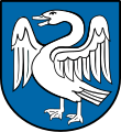 Schwan in Angriffslaune (Deuchelried)