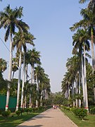 Khusro Bagh