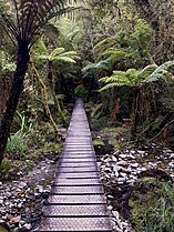 Lake Matheson Walk