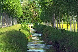 La rivière de l'Hozain, ici à Montceaux-lès-Vaudes.