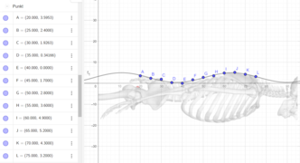 Bild2 Sinus1 mit Punkten.png