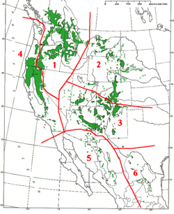 Distribución de Pinus ponderosa y Pinus arizonica