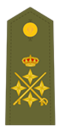 General de Ejército