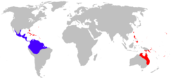 Distribución de R. marina. Distribución nativa en azul, introducida en rojo.