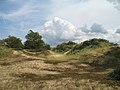 * Nomination The 'Hoge Blekker' dune in Koksijde, Belgium -- MJJR 20:57, 31 July 2007 (UTC) * Promotion Reasonable detail, so-so composition, but good enough for QI. Thegreenj 15:28, 8 August 2007 (UTC)