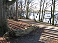 Landschaftspark am Schweriner See in Raben Steinfeld