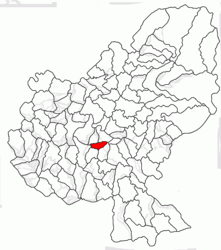 Location in Mureș County