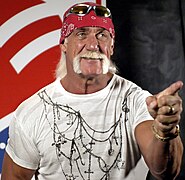 Hulk Hogan