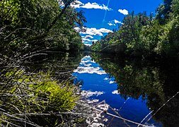 La Cembota. Zona del Río Negro, septiembre 2021.