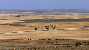 Landschaft in Overberg