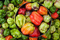 * Nomination Sweet Pepper Market --The Photographer 04:59, 17 March 2013 (UTC) * Promotion Good quality and nice composition. --Jastrow 11:16, 17 March 2013 (UTC)