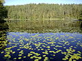 Parc national de Nuuksio