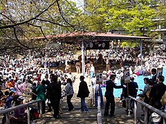 奉納大相撲大会（2008年）(每年四月舉行)