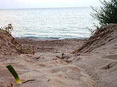 Tratto di spiaggia con duna costiera che crea dislivello