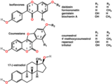 Polyphenols include phytoestrogens (top and middle), mimics of animal estrogen (bottom).[83]