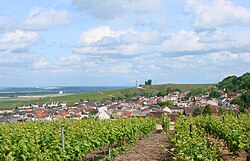 Skyline of Verzenay