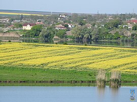 View over Negrești in 2016