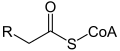 de: Struktur von Acyl-CoA en: Structure of acyl-CoA